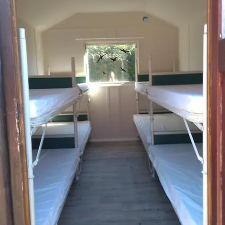 Motel Treene Camp Horn *