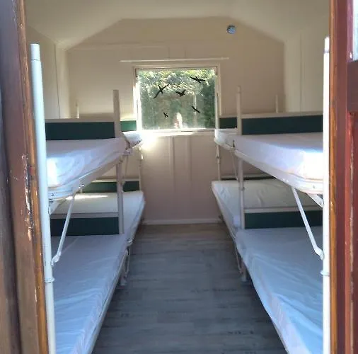 Motel Treene Camp Horn *